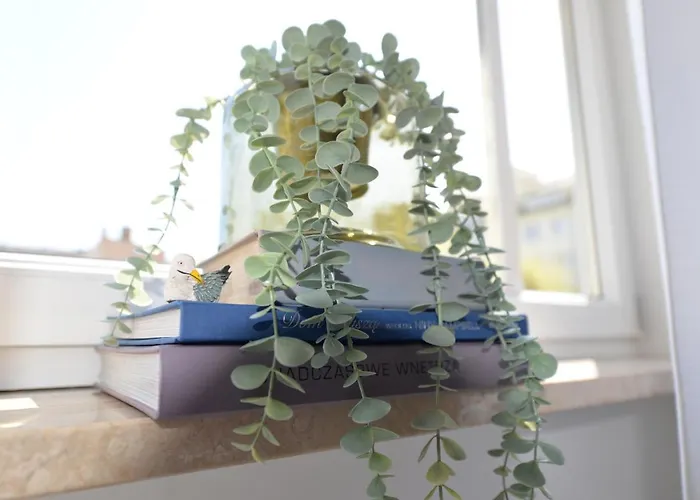 Lejlighed Na Fali Stettin